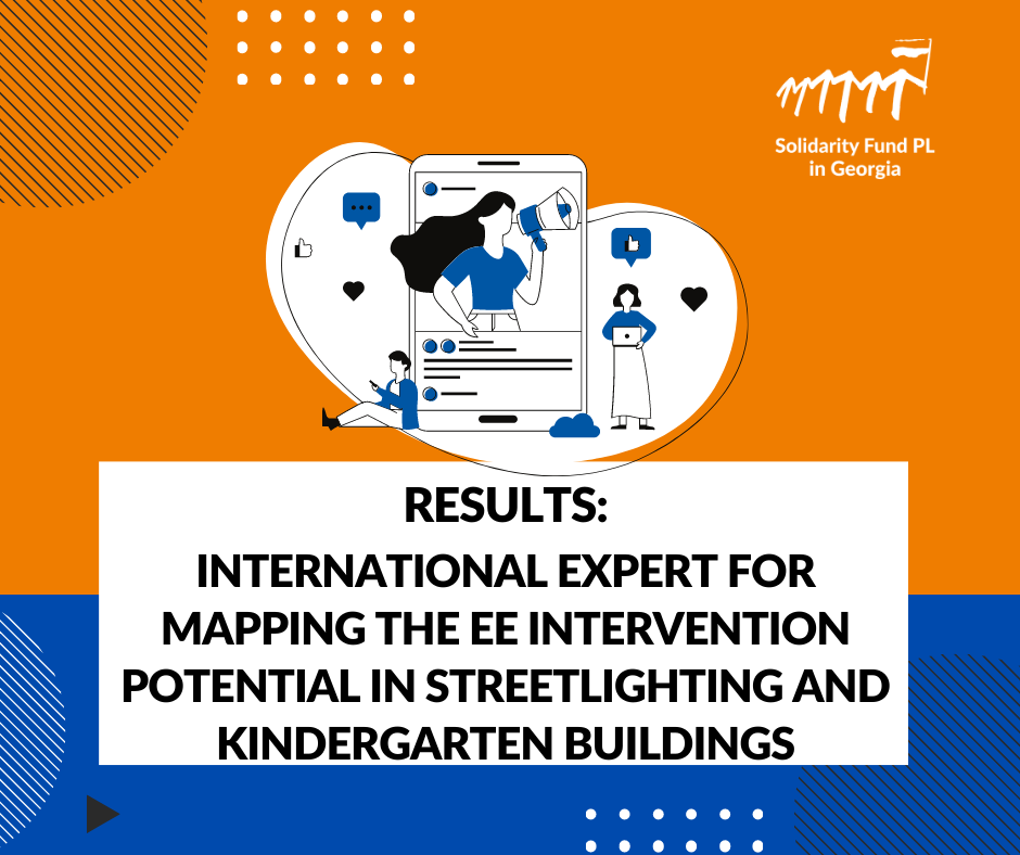 Results: International expert for mapping the EE intervention potential in streetlighting and kindergarten buildings